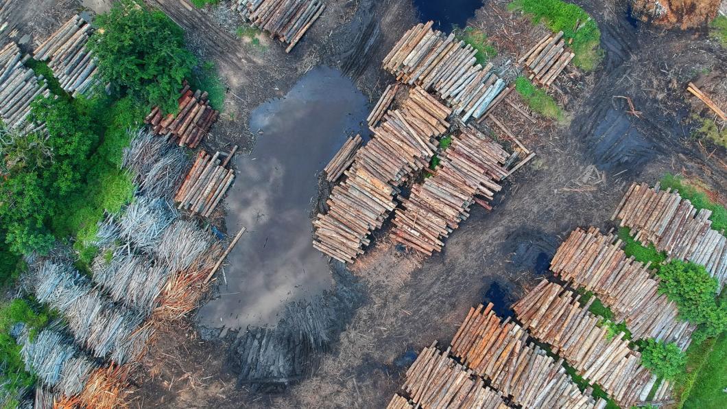 bird-s-eye-view-of-woodpile-1268076.jpg